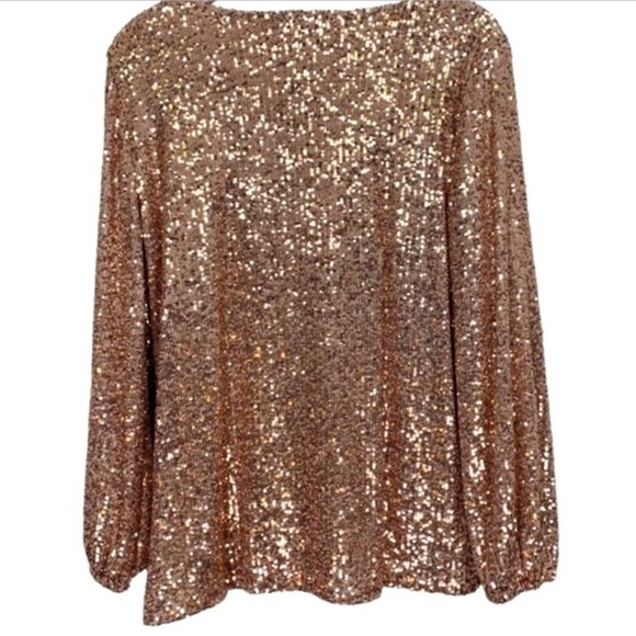 Cable & Gauge Rose Gold Sequin long sleeve Blouse - Picture 3 of 6